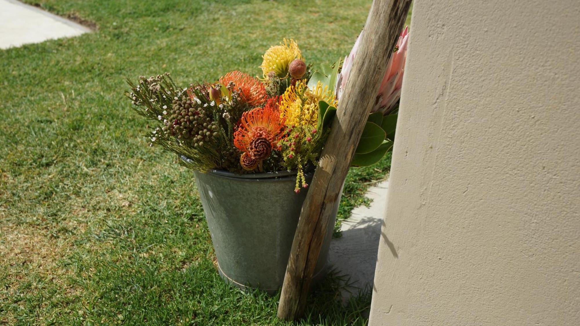 Stellar Overberg Travellers Lodge Napier Exterior photo