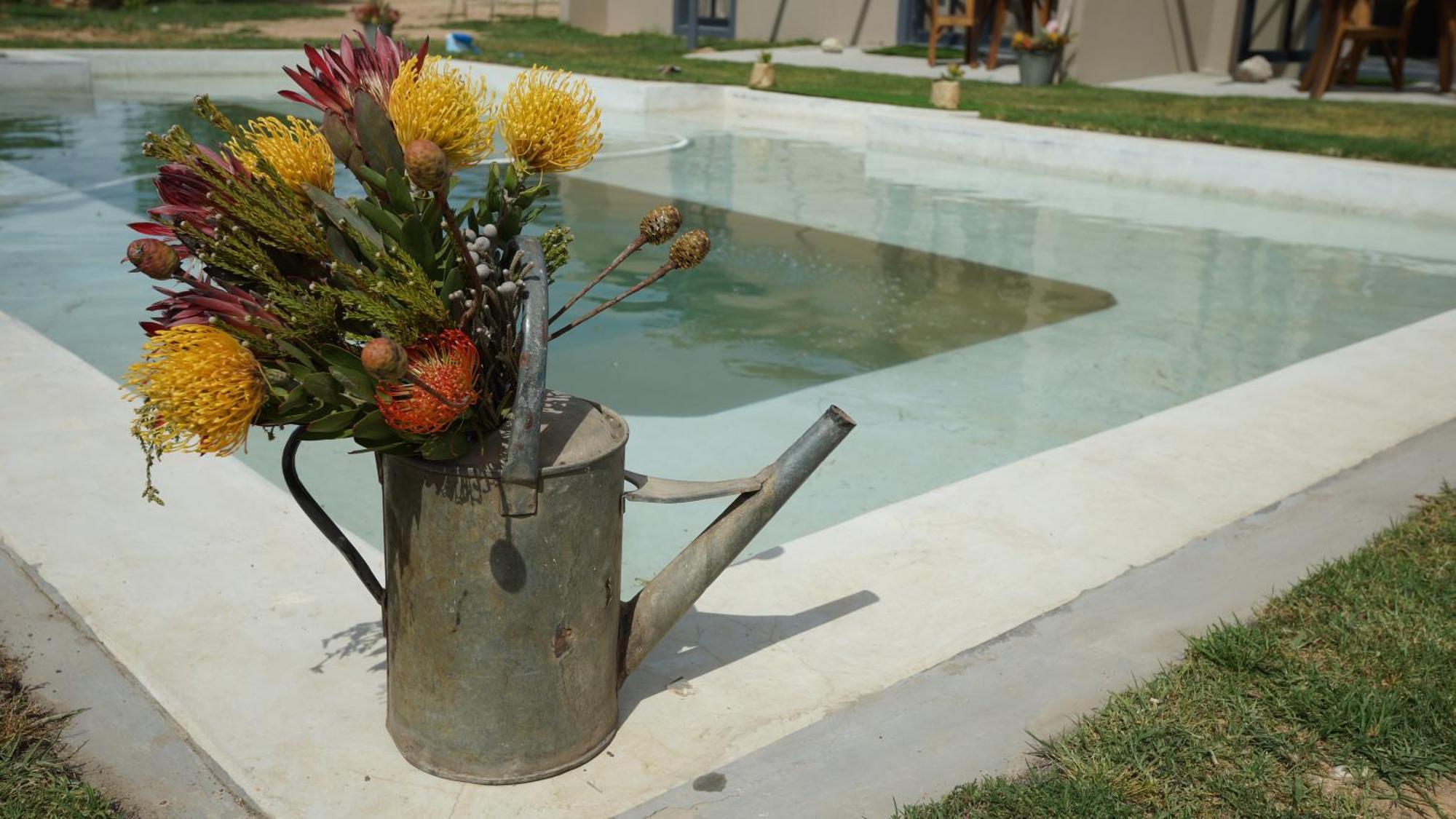 Stellar Overberg Travellers Lodge Napier Exterior photo