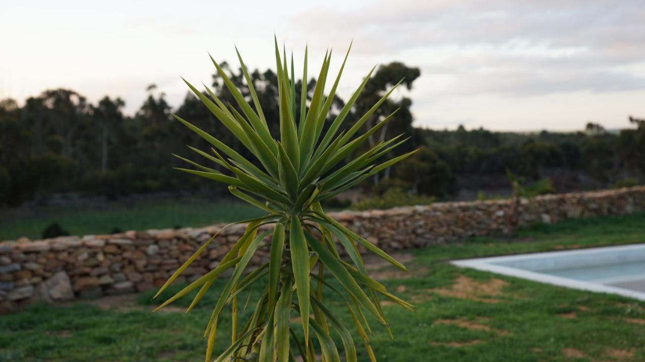 Stellar Overberg Travellers Lodge Napier Exterior photo