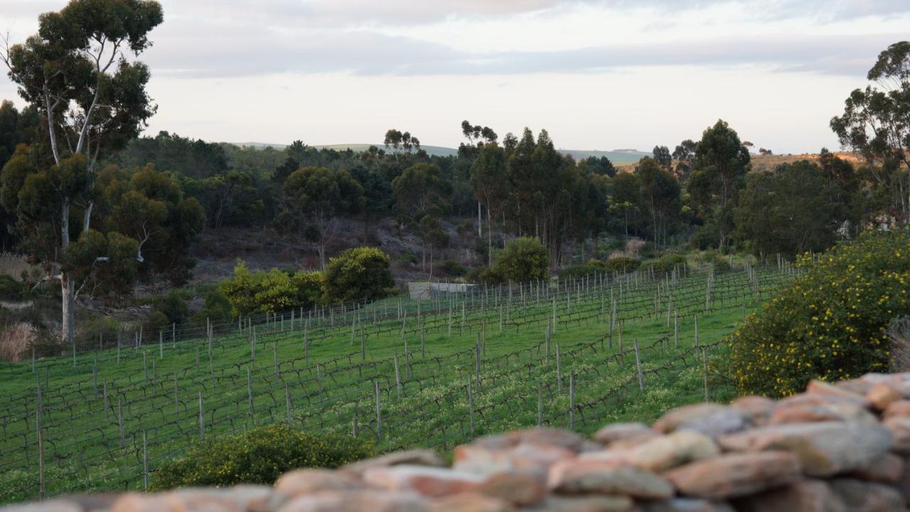 Stellar Overberg Travellers Lodge Napier Exterior photo